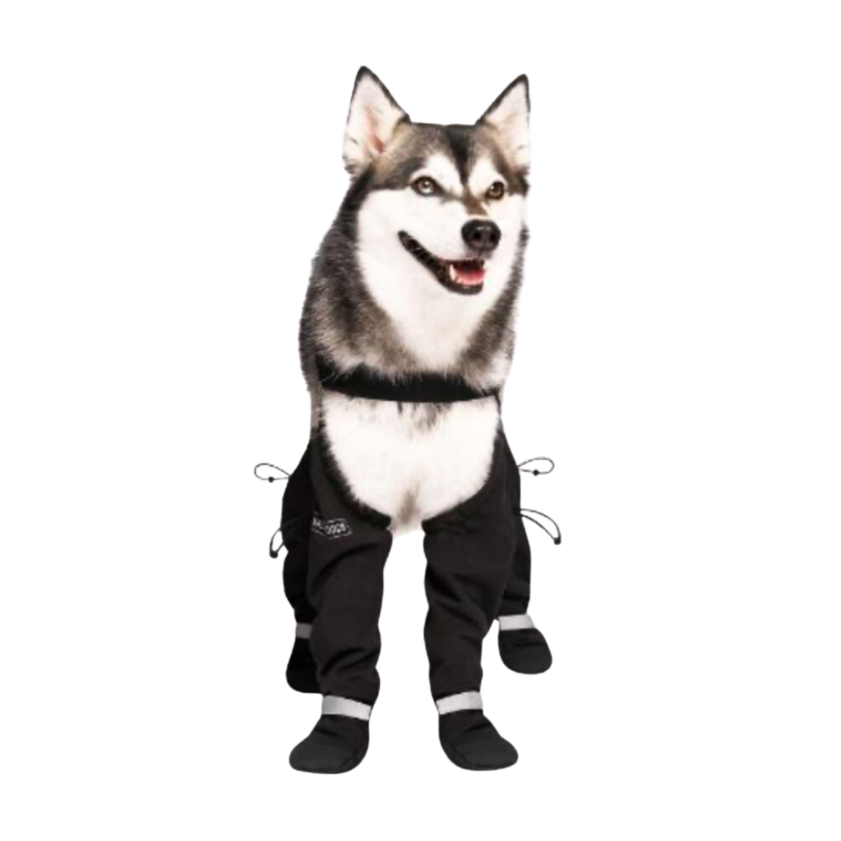 Canada Pooch Canada Pooch Suspender Boots REGULAR Leg Length  Black