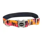 Coastal Sublime Collar Sunset