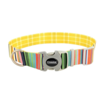 Coastal Sublime Collar Fall