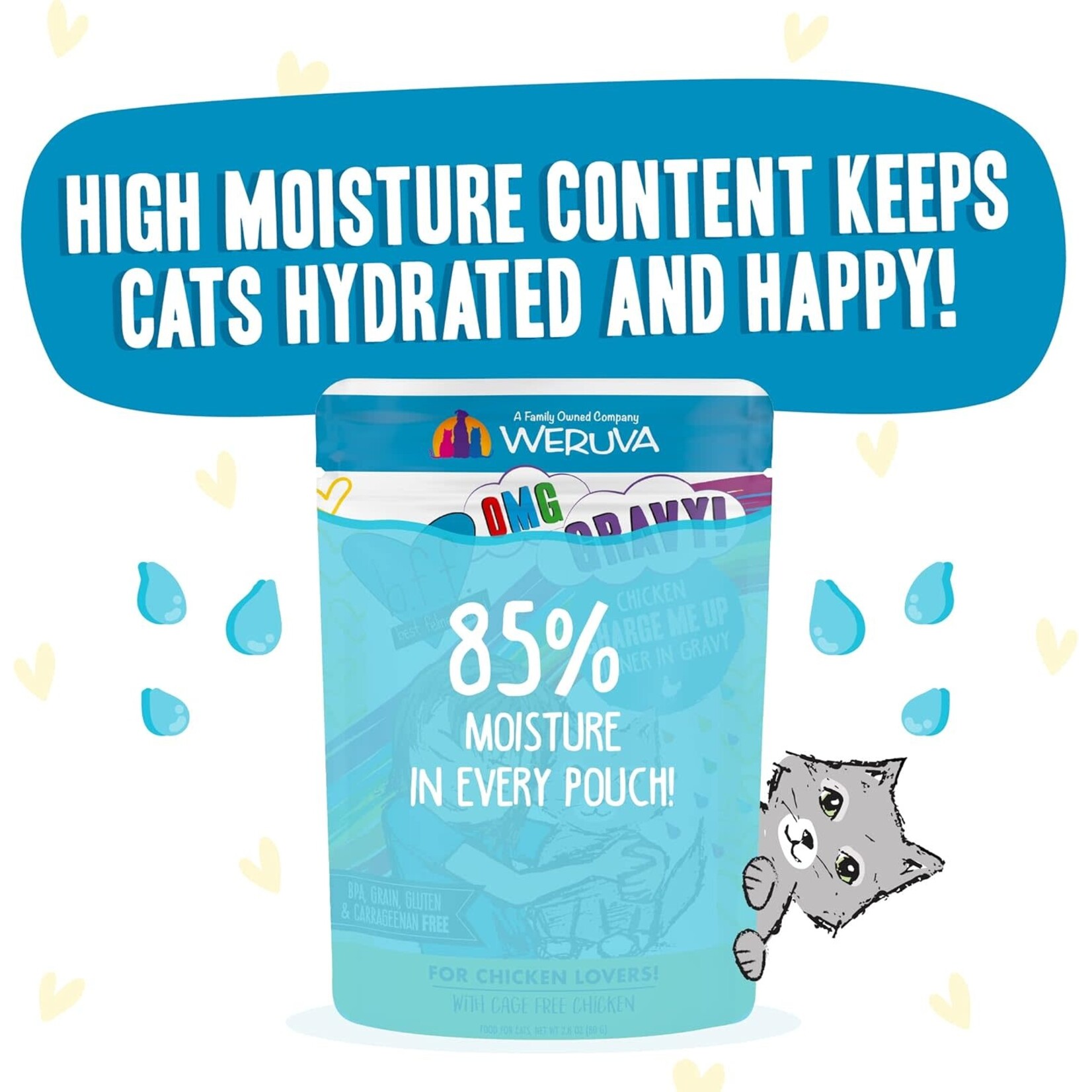 Weruva Weruva Best Feline Friend Chicken Gravy 12 Pouches 2.8oz