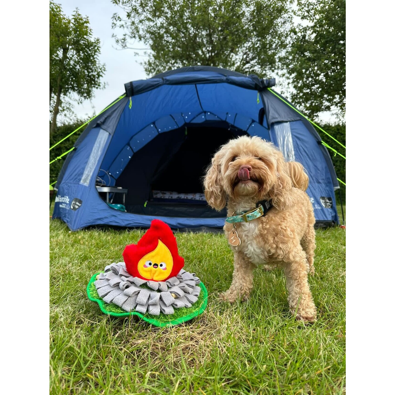 Hugsmart Camping Pups Snuffle Mat