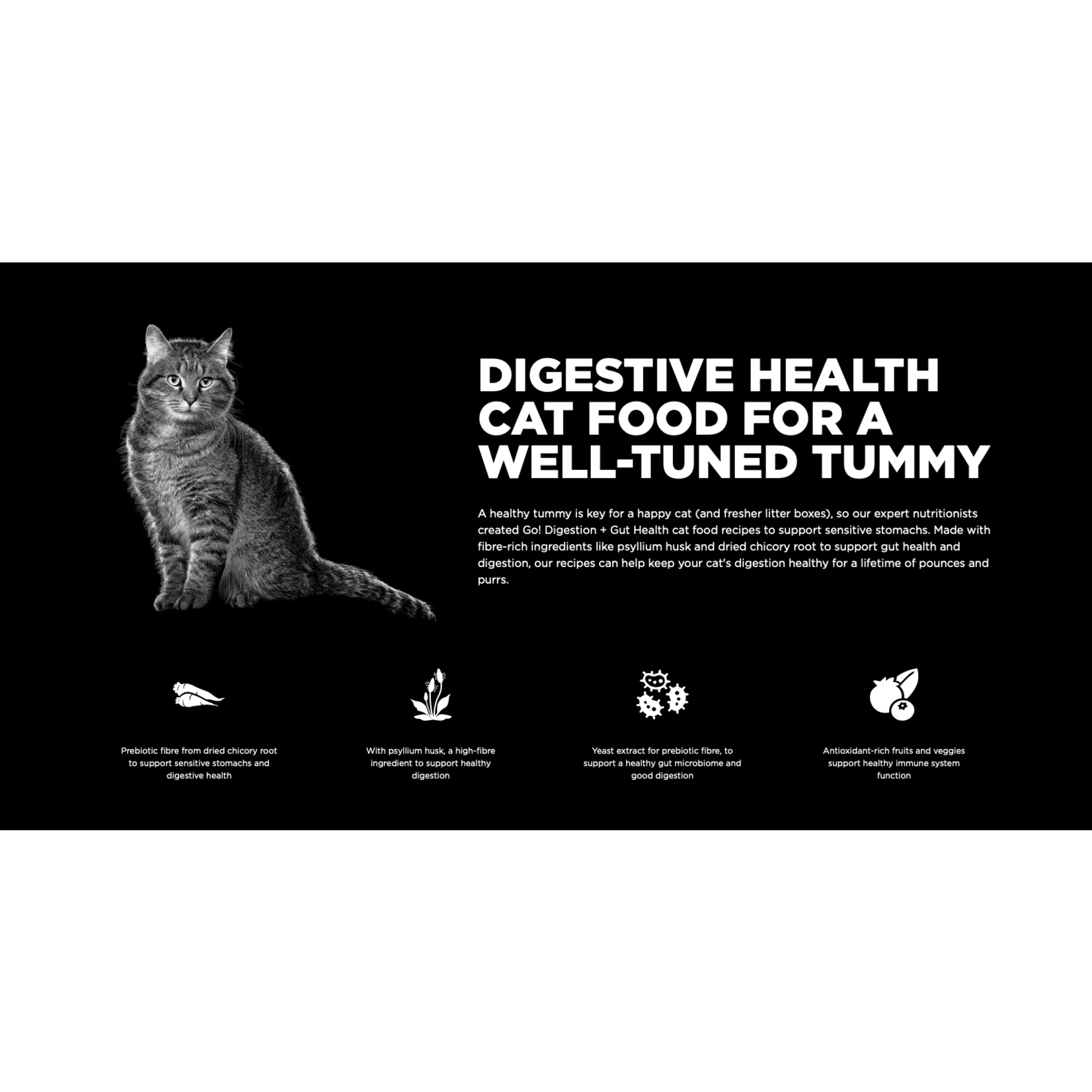go! solutions Go! Cat Digestion &  Gut Health Chicken & Ancient Grains