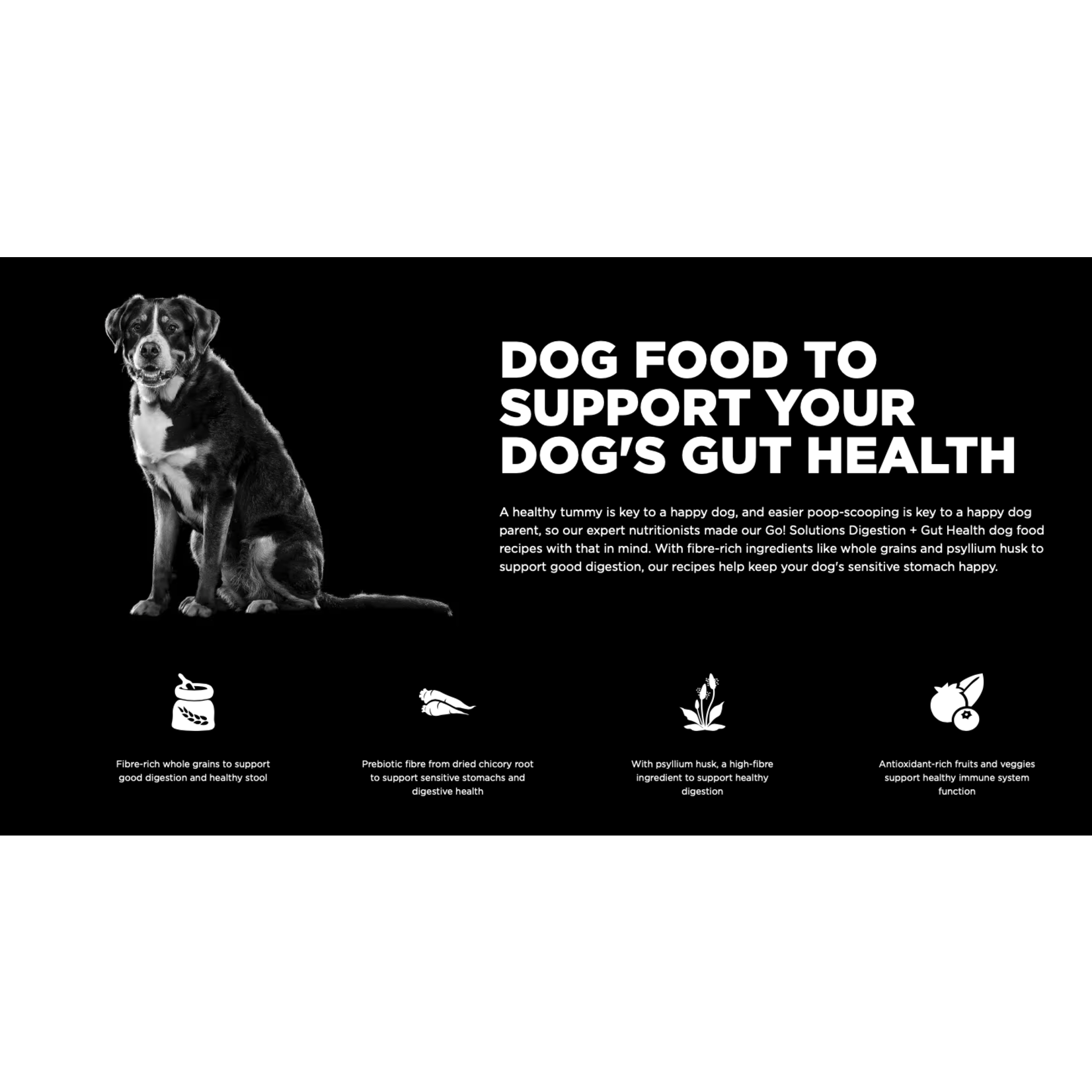 go! solutions Go! Dog Digestion & Gut Health Chicken & Ancient Grains Recipe
