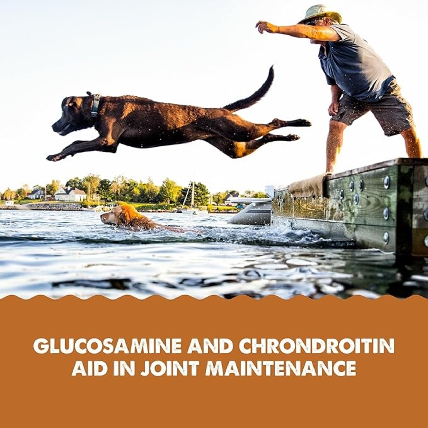 Grizzly Joint Aid Hip & Joint Support Liquid Supplement For Dog  16oz