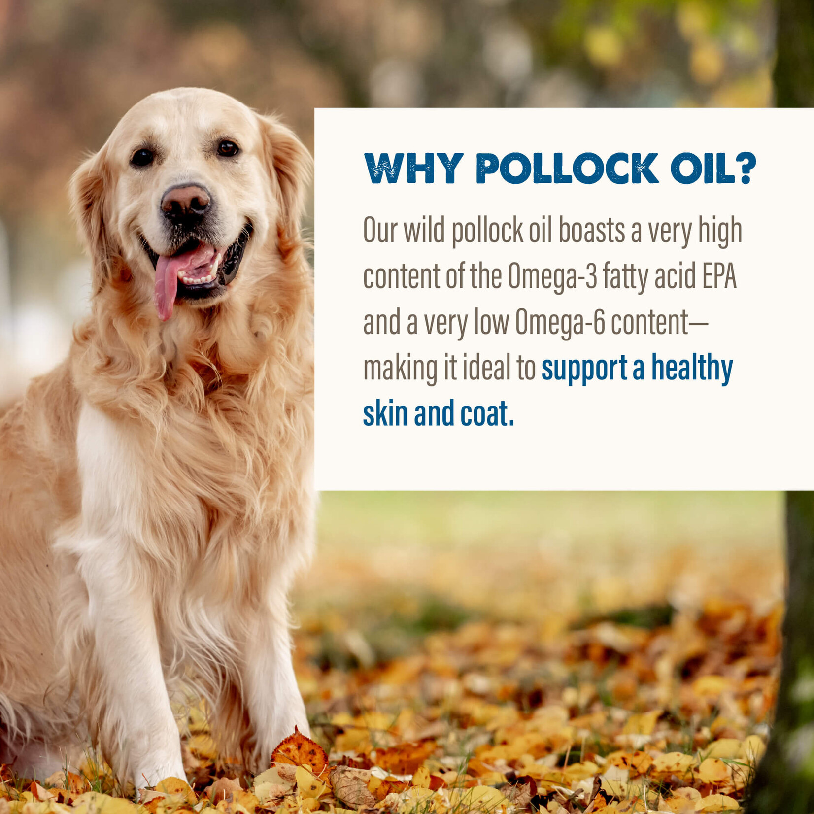 Grizzly Pollock Oil Liquid & Omega 3 dog food  Supplement 16oz