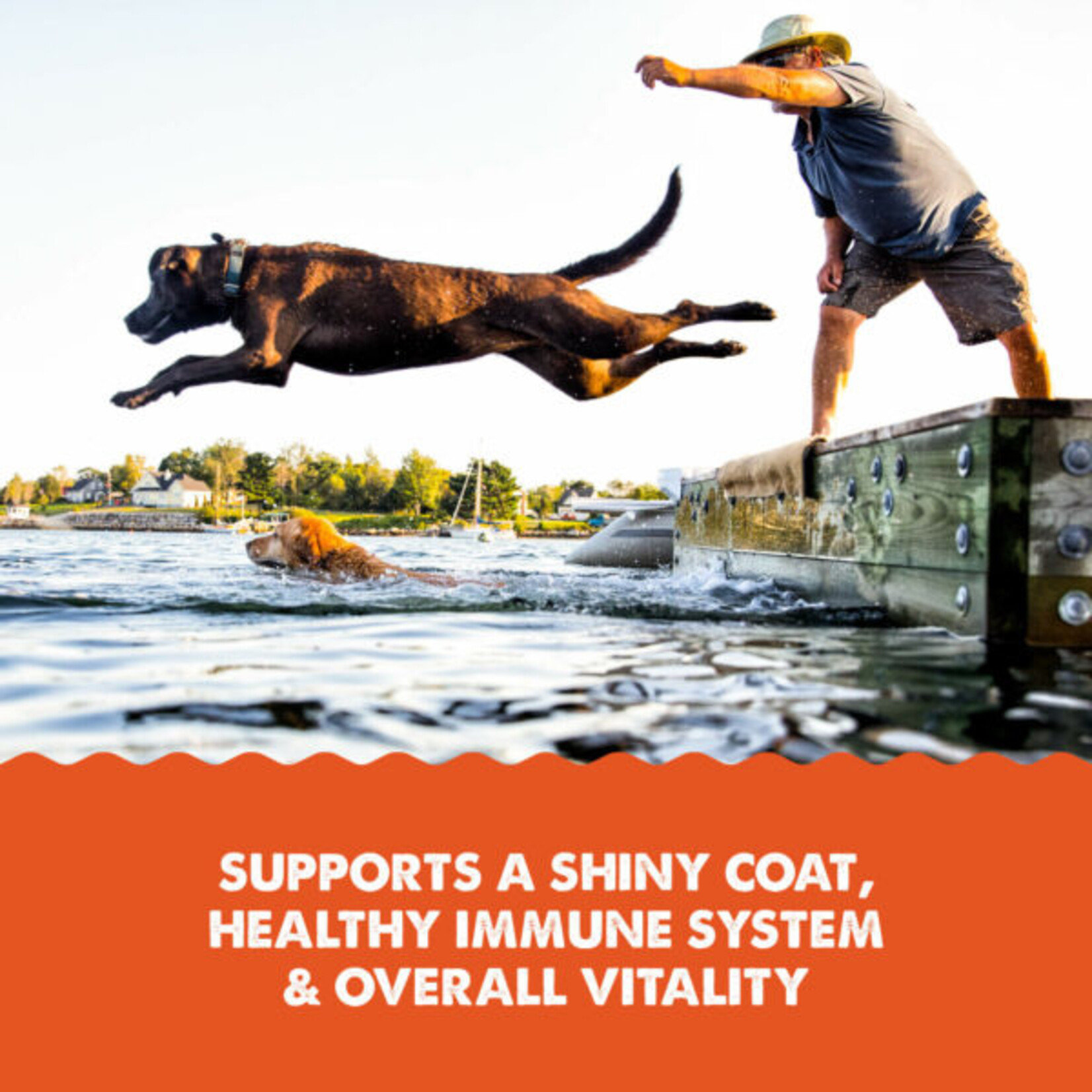 Grizzly Salmon Plus Oil Liquid Supplement For Dog  8oz