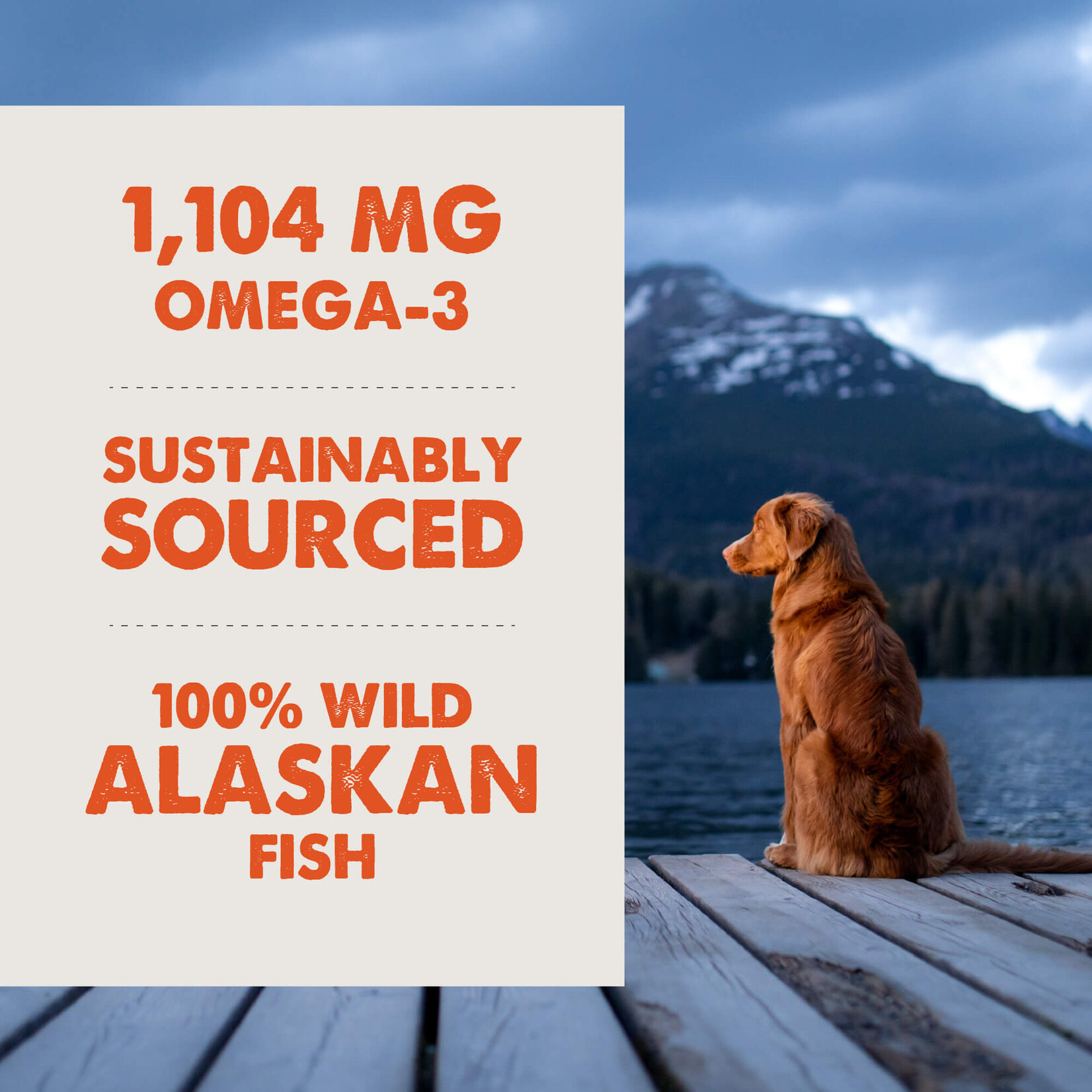 Grizzly Salmon Plus Oil Liquid Supplement For Dog  8oz