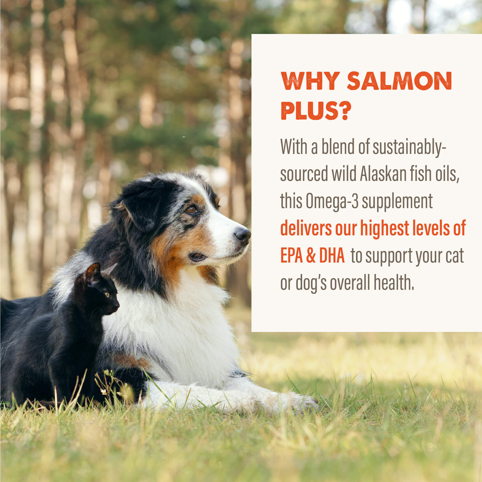 Grizzly Salmon Plus Oil Liquid Supplement For Dog  8oz