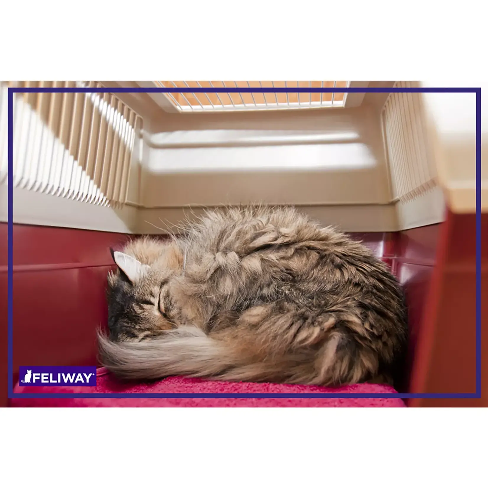 Adaptil feliway Classic Calming Cat Spray 20ml