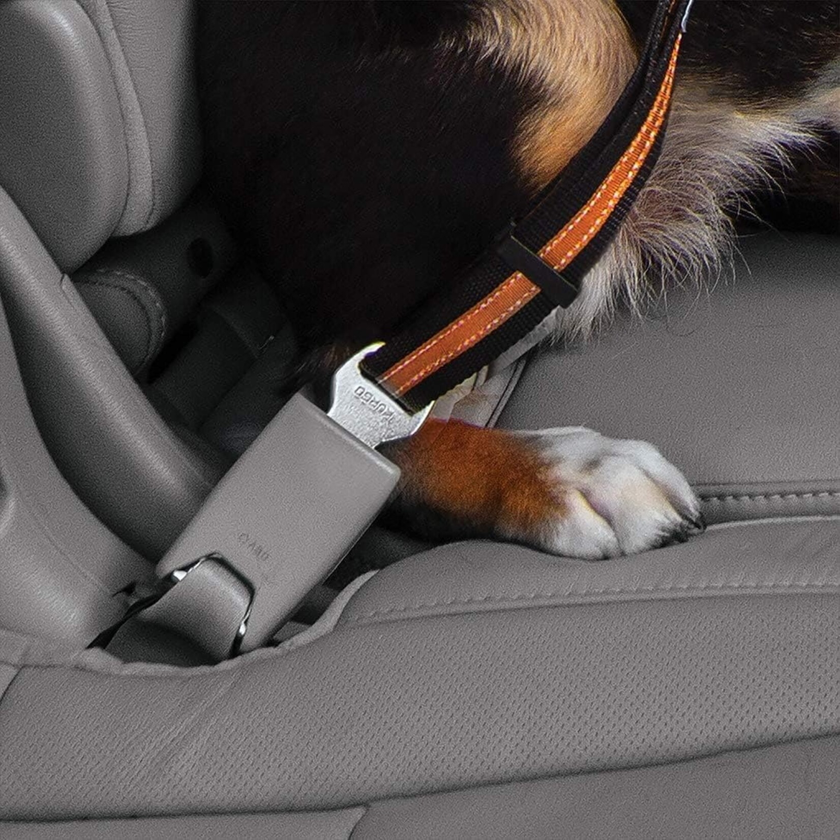 Kurgo dog direct to seatbelt carabiner 15 - 22"