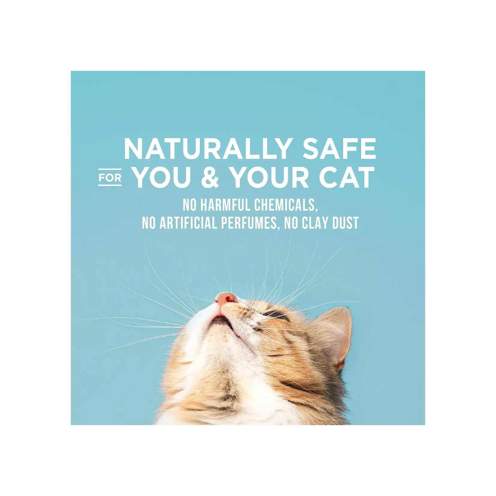 world's best World's Best Cat litter Poop Fighter 28lb