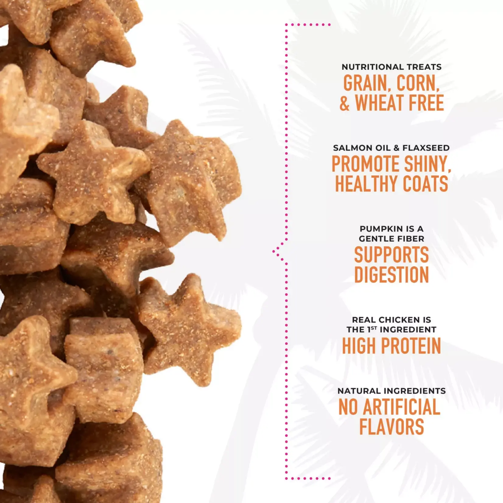 Tiki cat GF Chicken & Pumpkin Crunchers Cat treat 2 oz