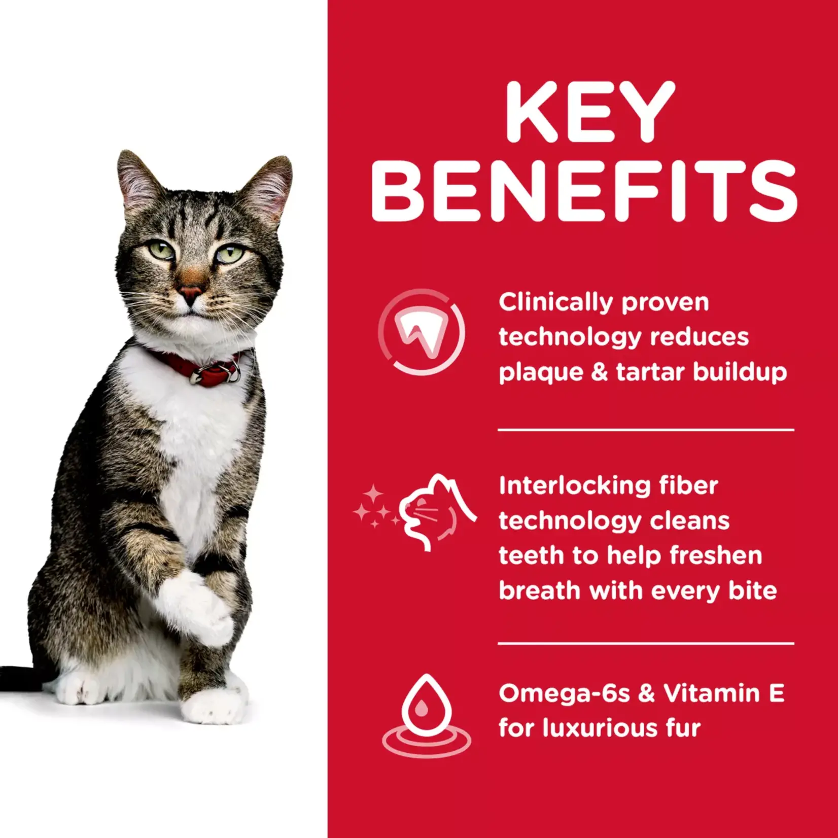Hill's Hill's Cat food Science Diet Adult Oral Care Chicken