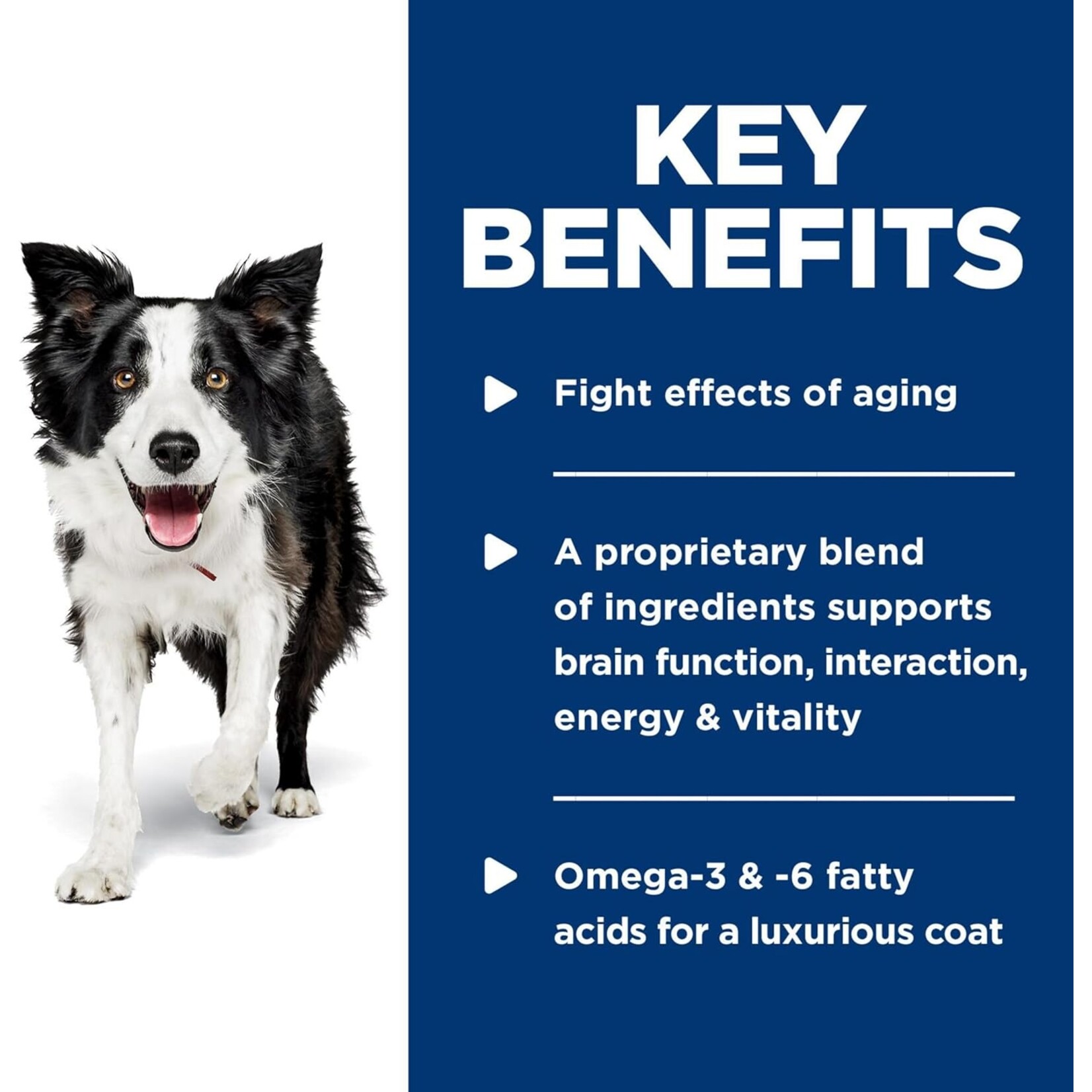 Hill's Hill's Dog Wet Food Science Diet Senior Vitality Chicken & Vegetable Stew 12.8OZ