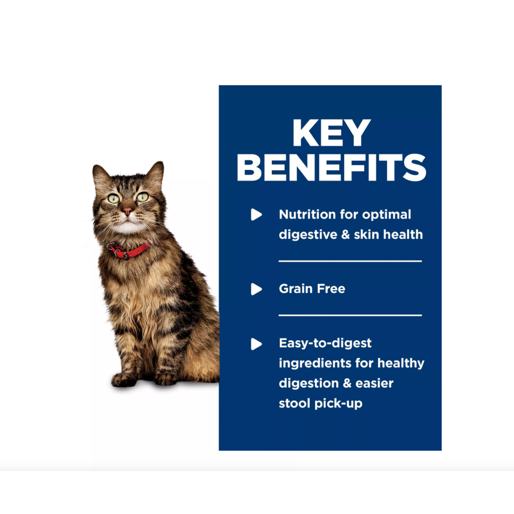 Hill's Hill's Cat Wet Food Science Diet Sensitive Stomach & Skin Chicken & Vegetable  2.9OZ