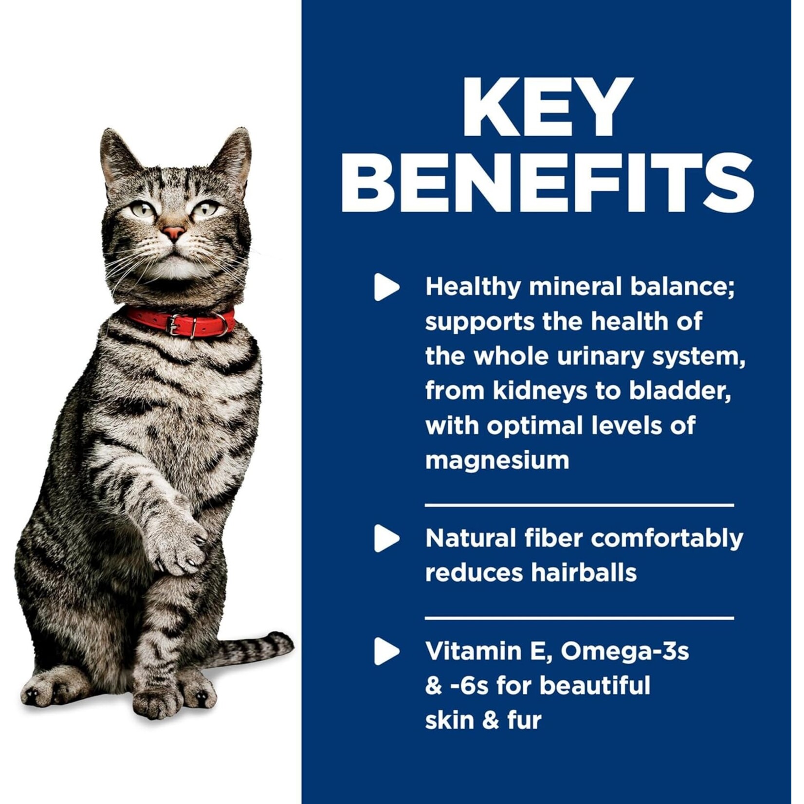 Hill's Hill's Cat Wet Food Science Diet Urinary Hairball Control Chicken & Vegetable  2.9OZ