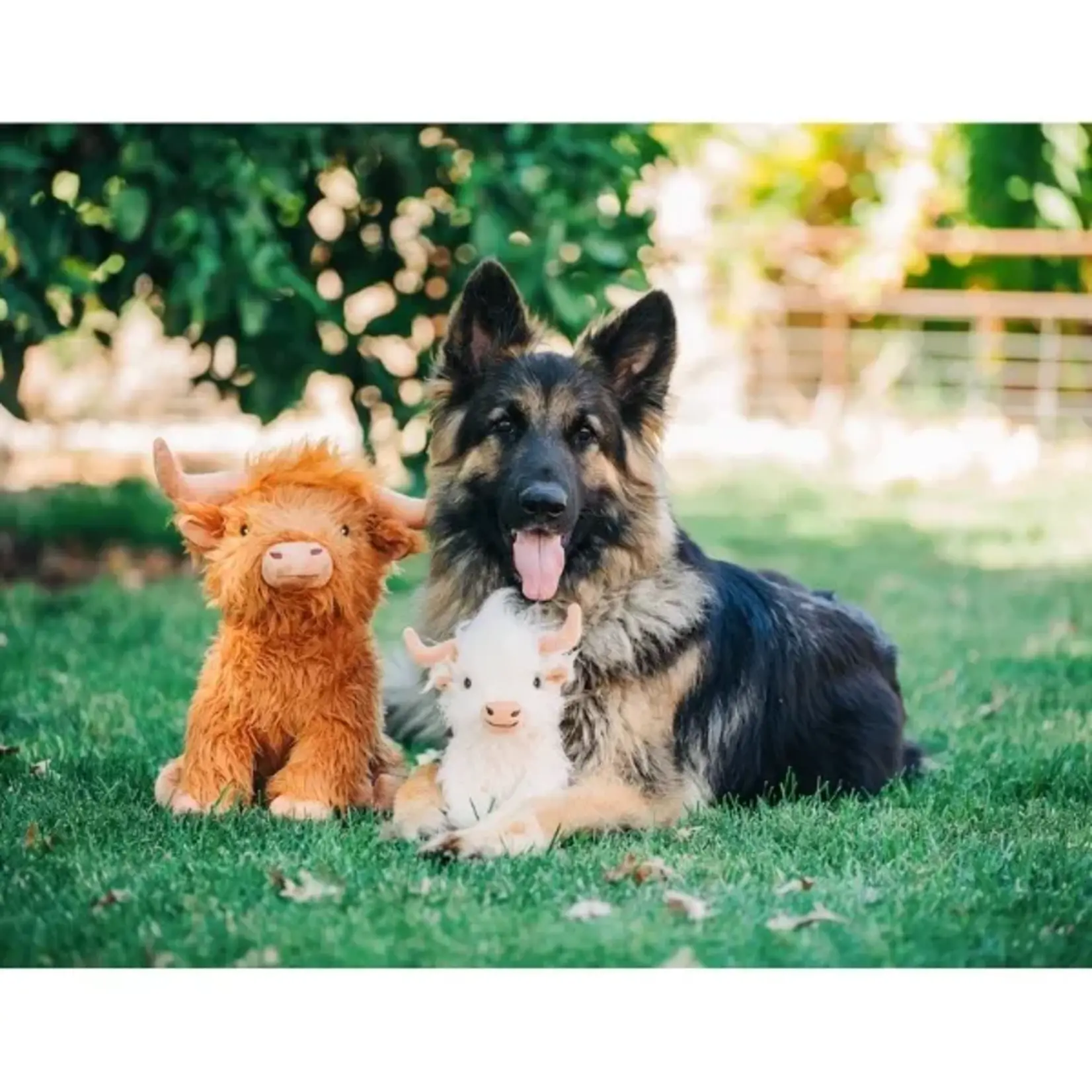 Multi Pet Shaggy Highland Cow Assorted 8"