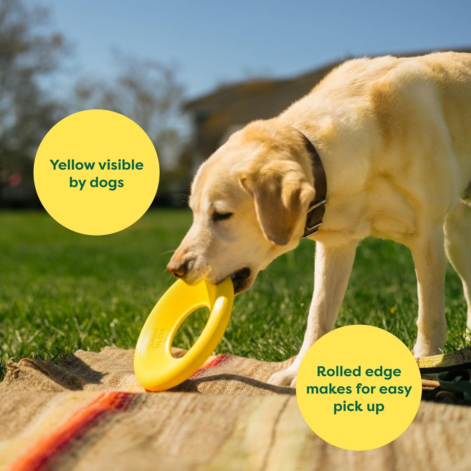 Earth rated Fly Toy Large