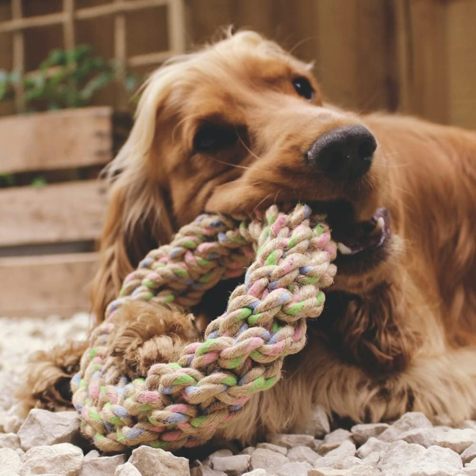 Beco Pets Beco Hemp Tough  Rope Ring