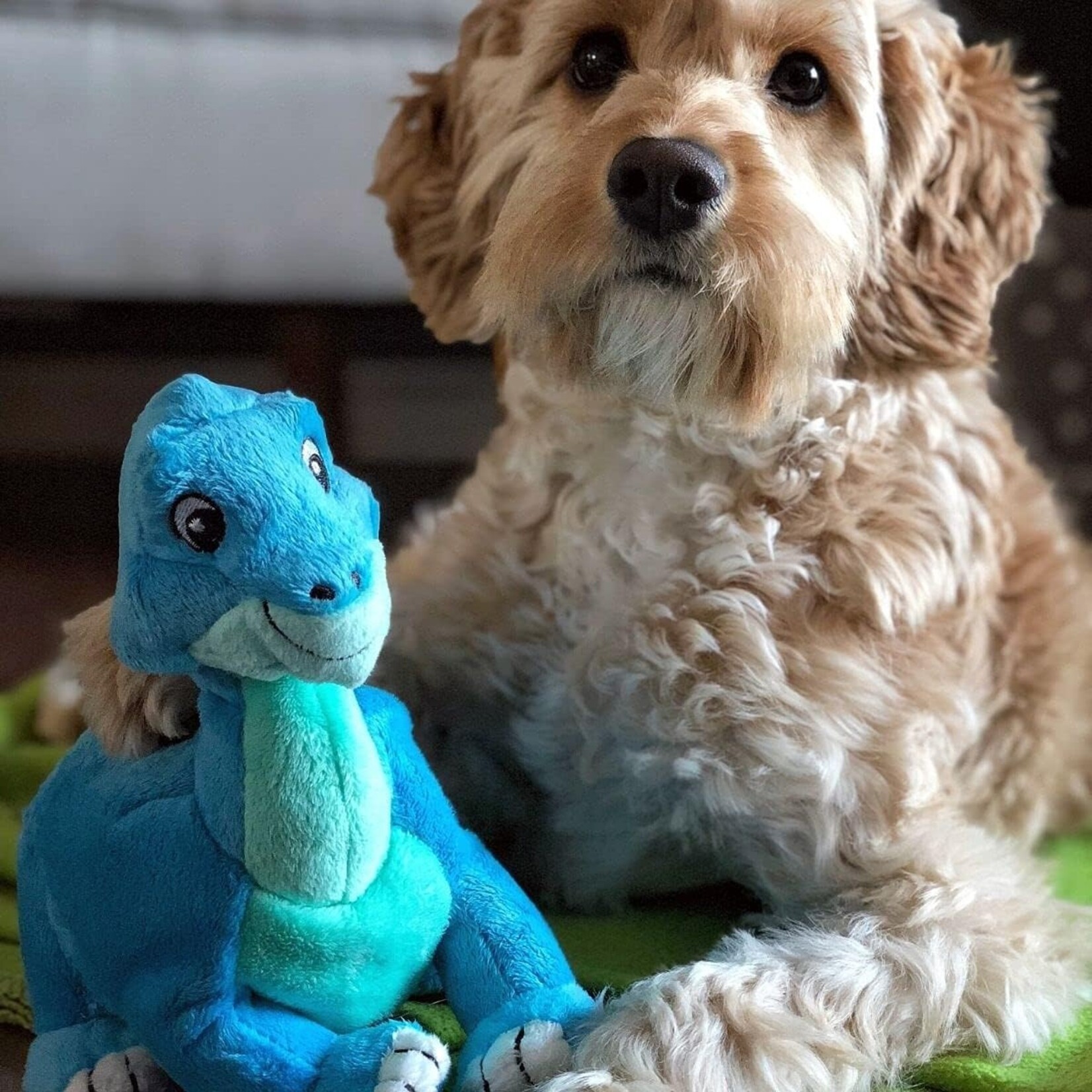 Tender tuffs  Dino Blue