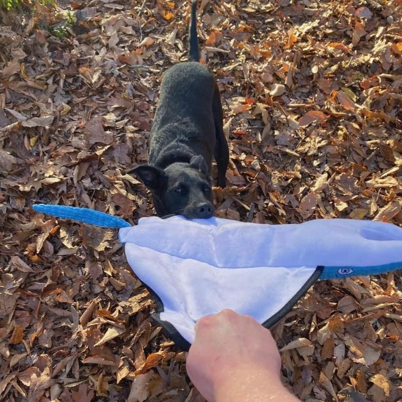 Tender tuffs Manta Ray Tug toy 20 in XL