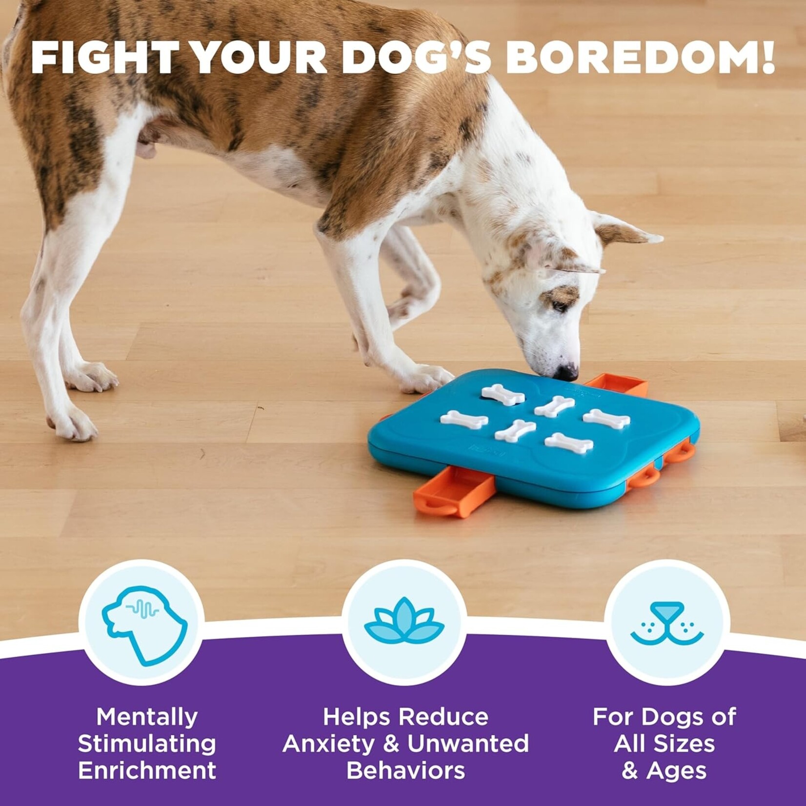 Nina Ottosson Nina Ottosson Dog Puzzle  Casino
