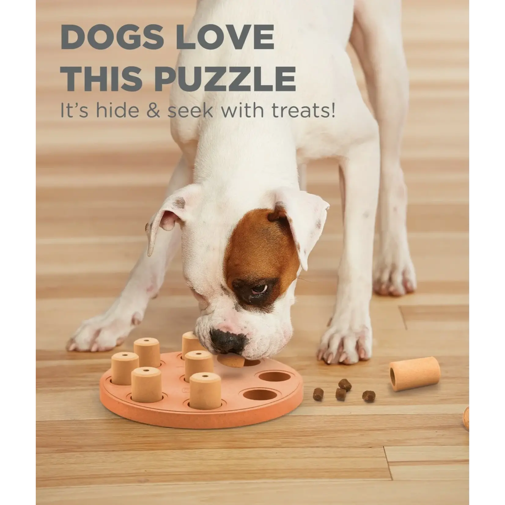 Nina Ottosson Nina Ottosson Smart Composite Dog Puzzle Orange