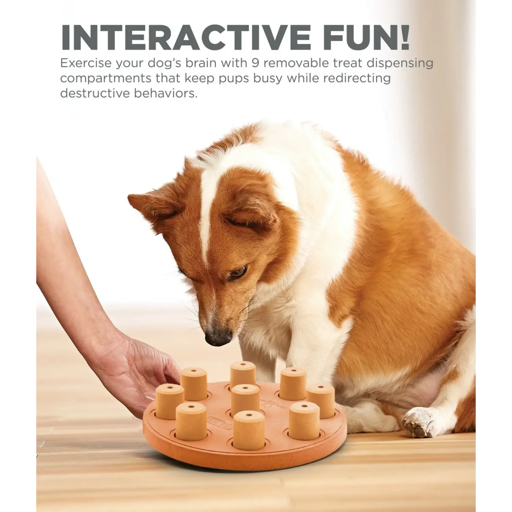 Nina Ottosson Nina Ottosson Smart Composite Dog Puzzle Orange
