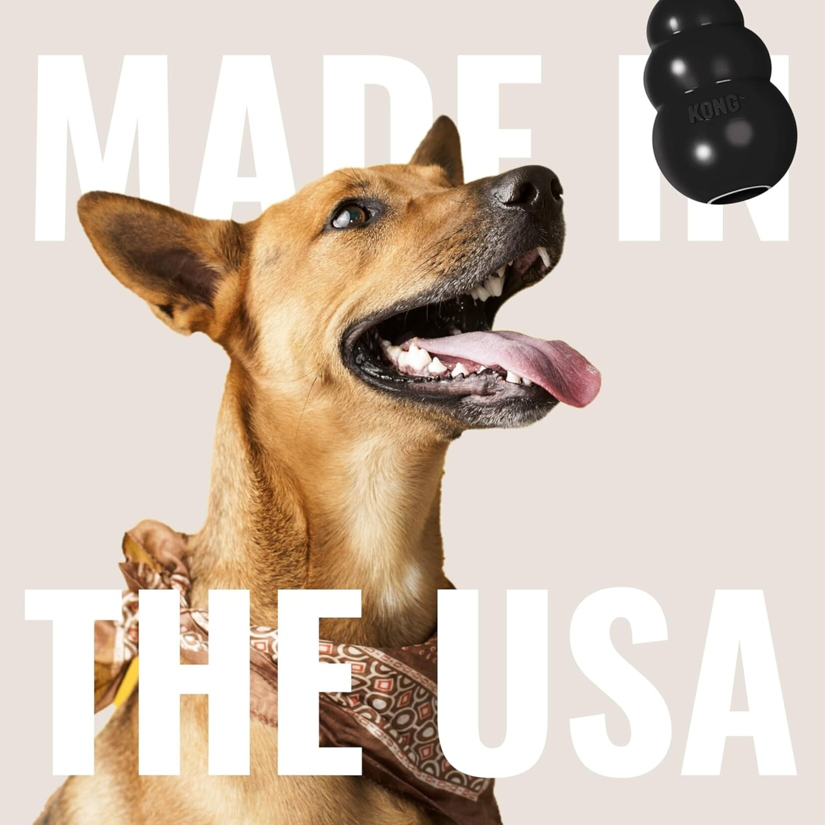 Kong Kong Extreme Black Dog Toy