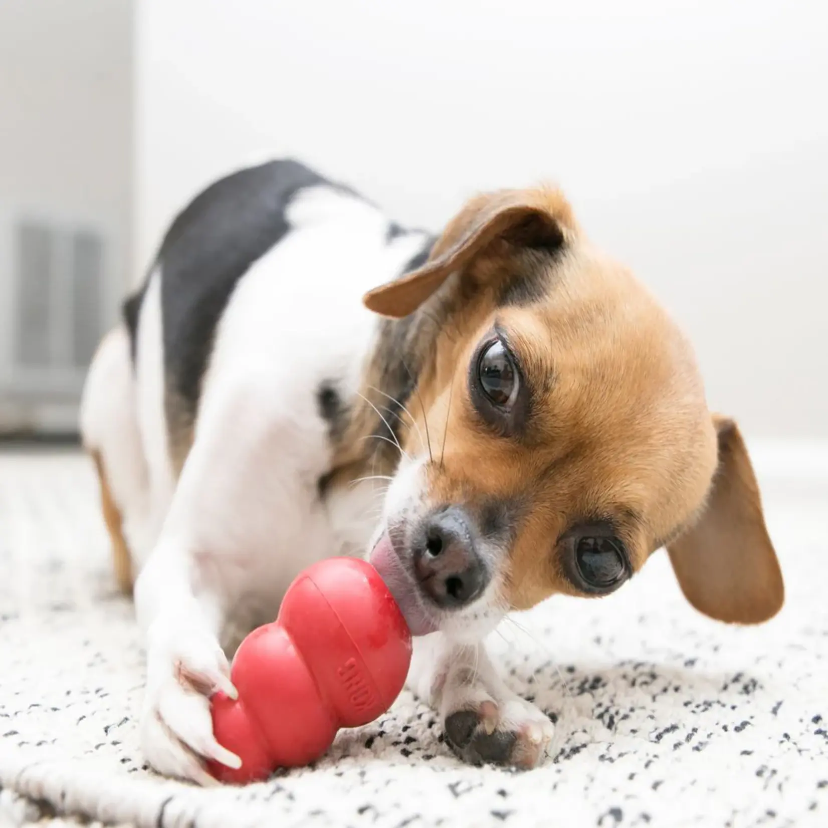 Kong Kong Classic Red Dog Toy