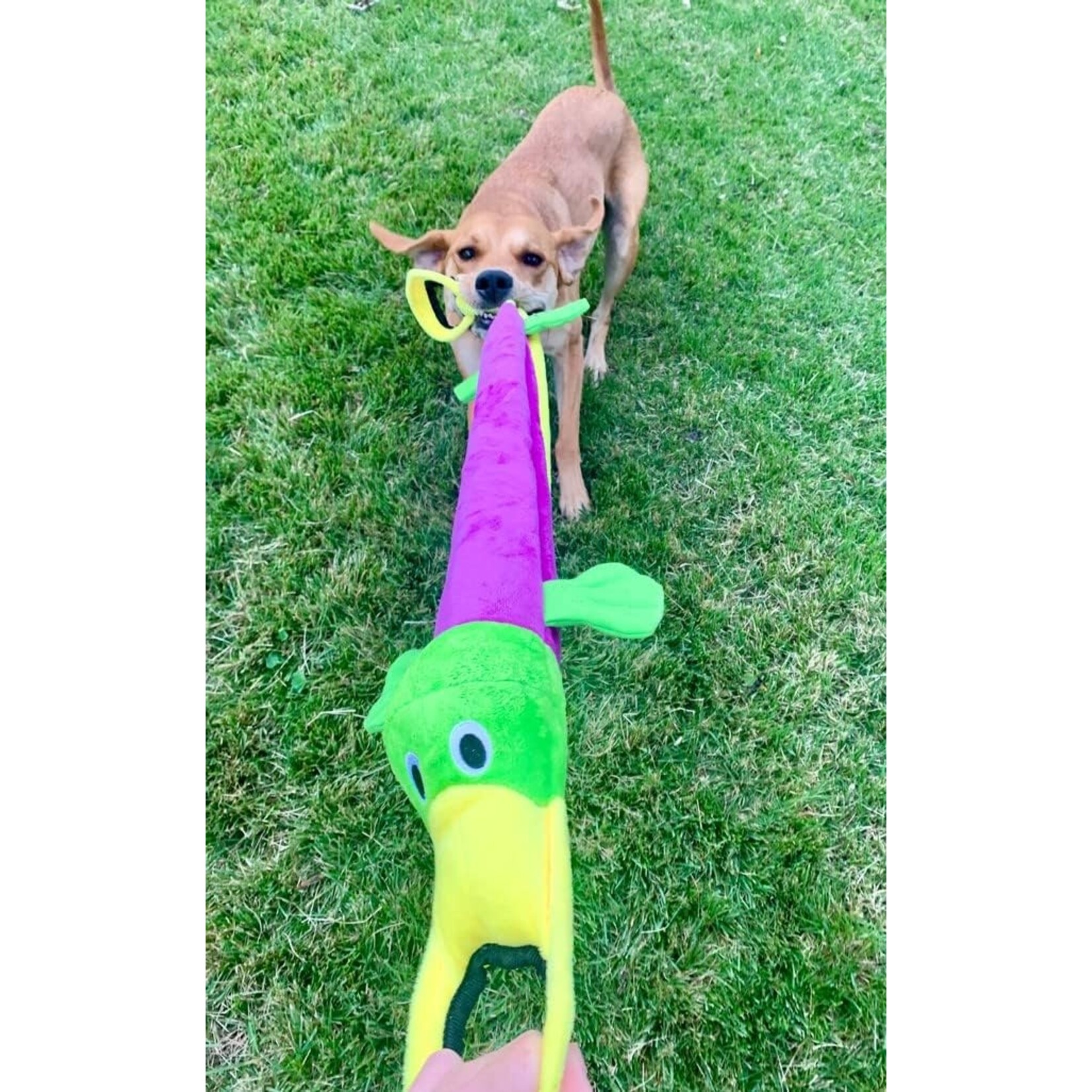 Tender tuffs Platypus Tug toy
