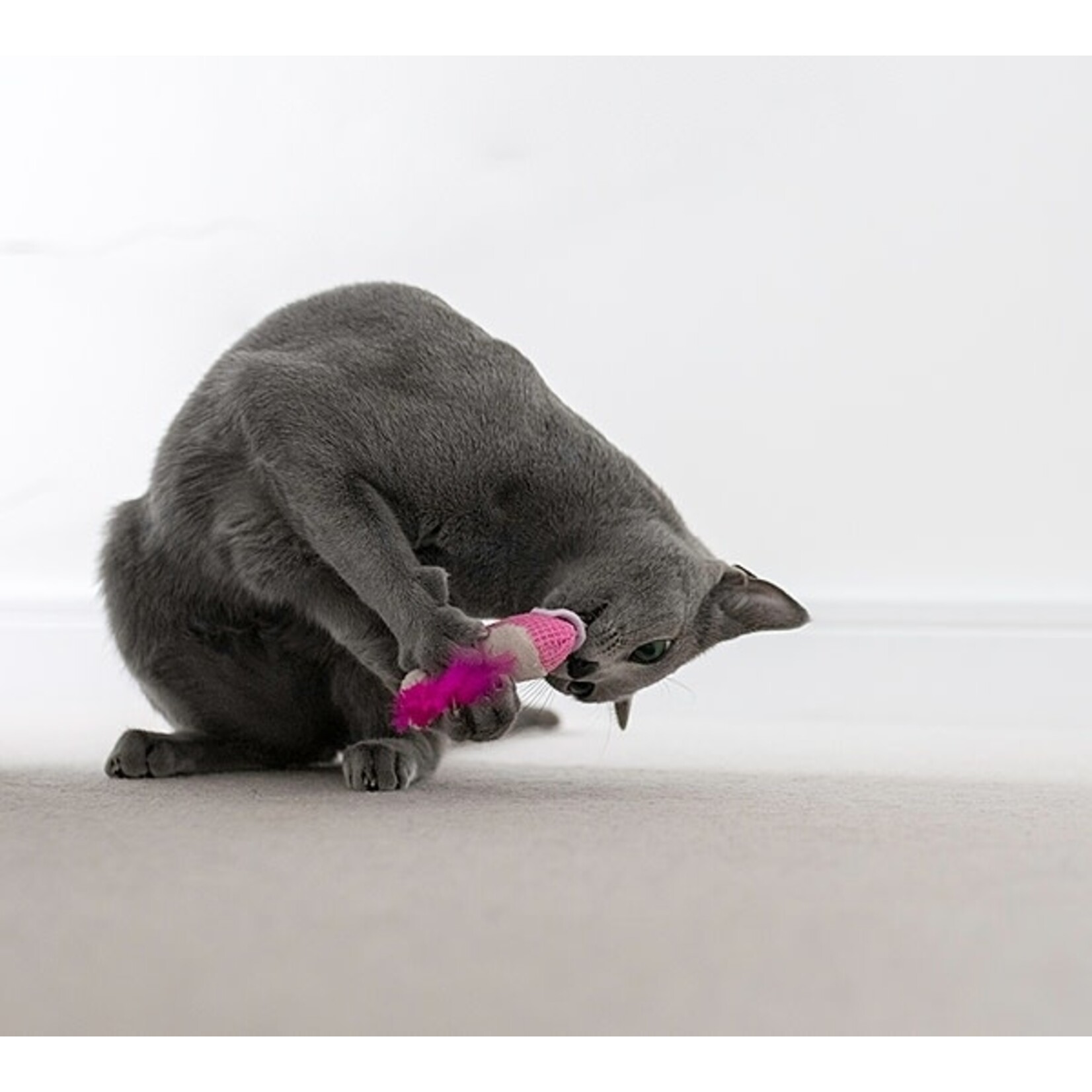 Pet stages Dental Shrimpies Cat Toy Crinkle & Catnip 2pk