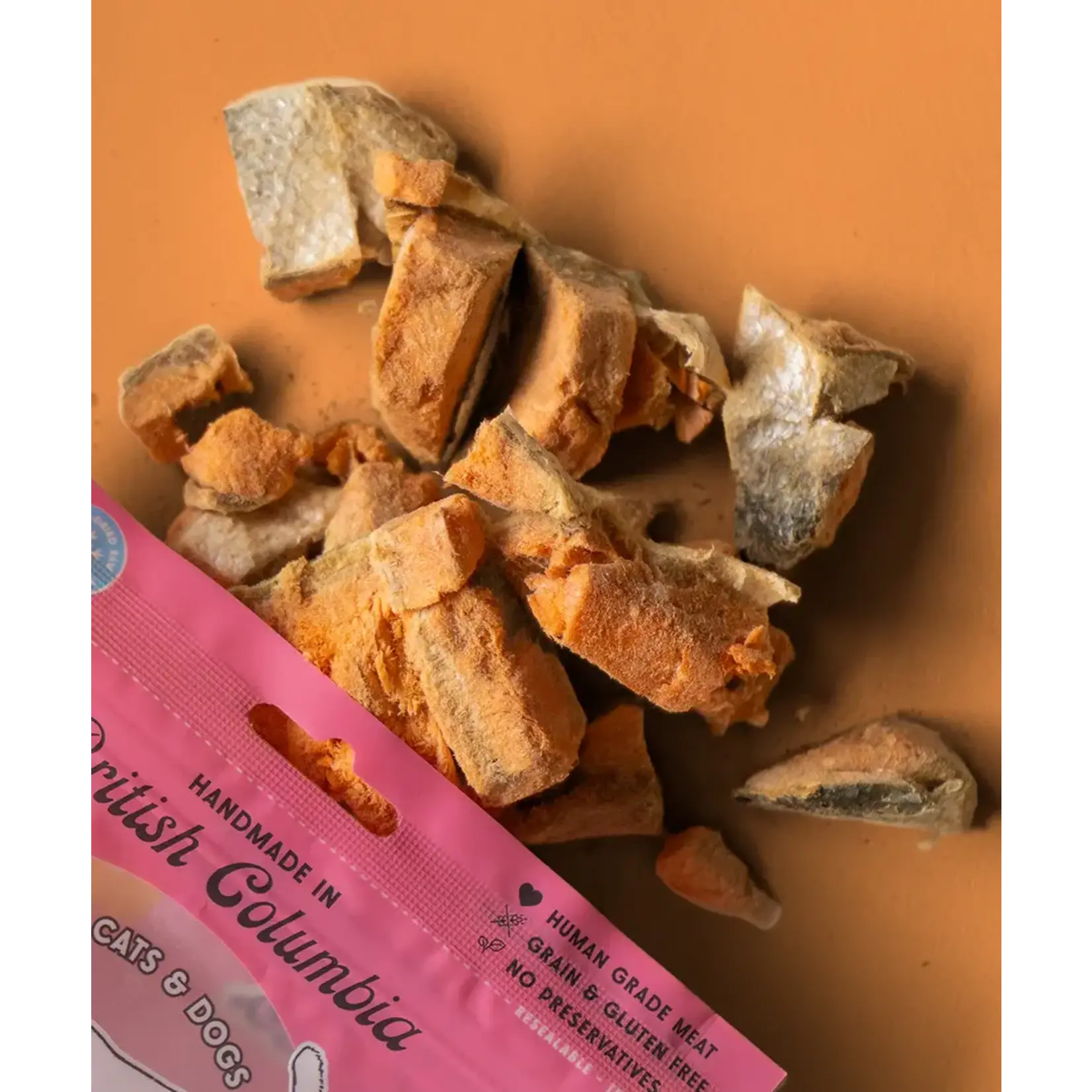Wild Vibes Wild Vibes Salmon & Bone Broth Treat For Cats & Dogs 75gm