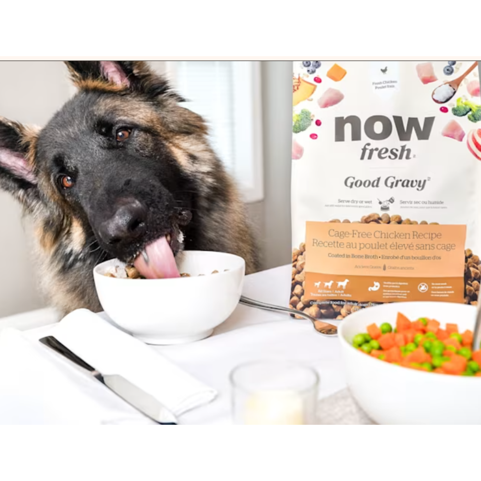 NOW Fresh Now Fresh dog Good Gravy Adult Chicken