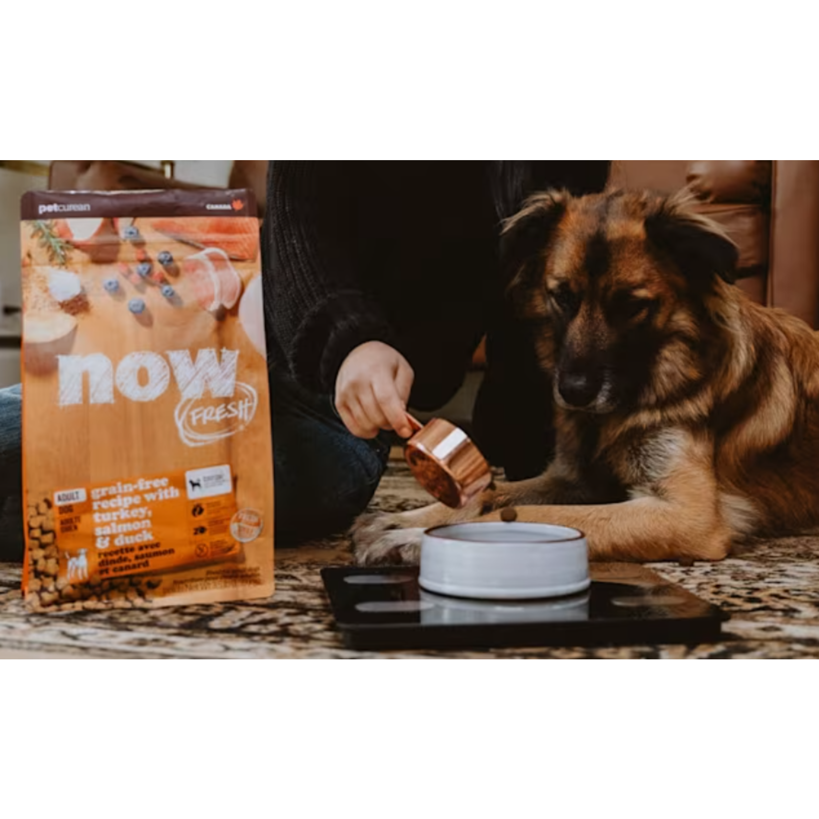 NOW Fresh Now Fresh Turkey + Salmon + Duck  Adult