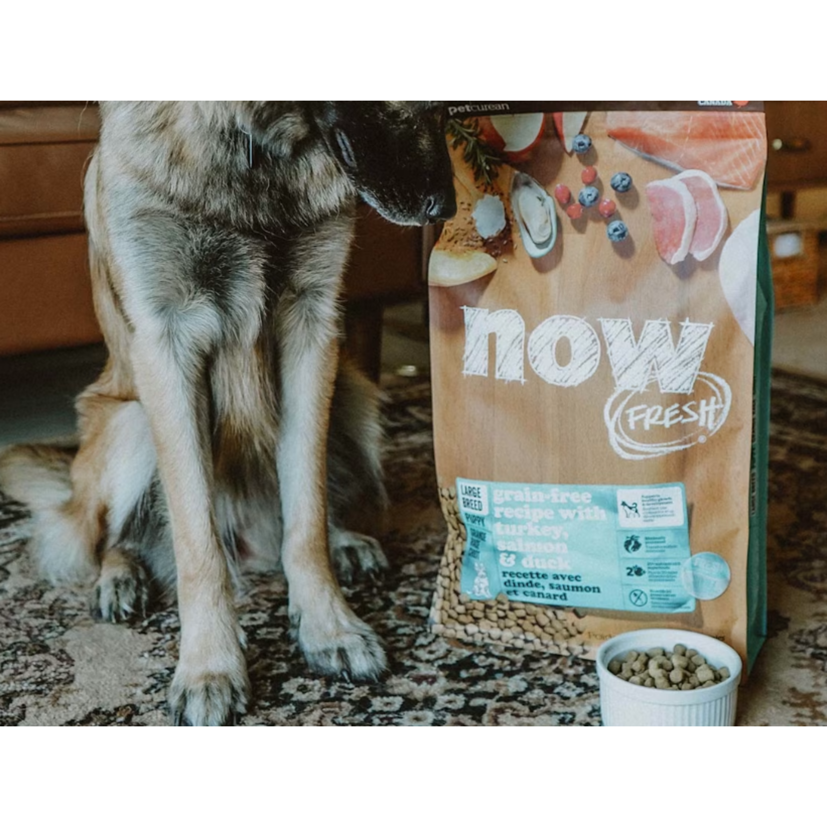 NOW Fresh Now Fresh Turkey + Salmon + Duck Large breed Puppy