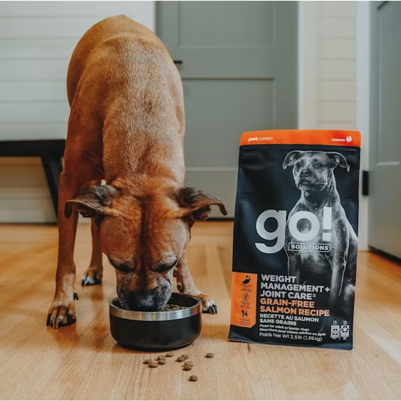 go! solutions Go! dog Weight Management & Joint Care GF Salmon