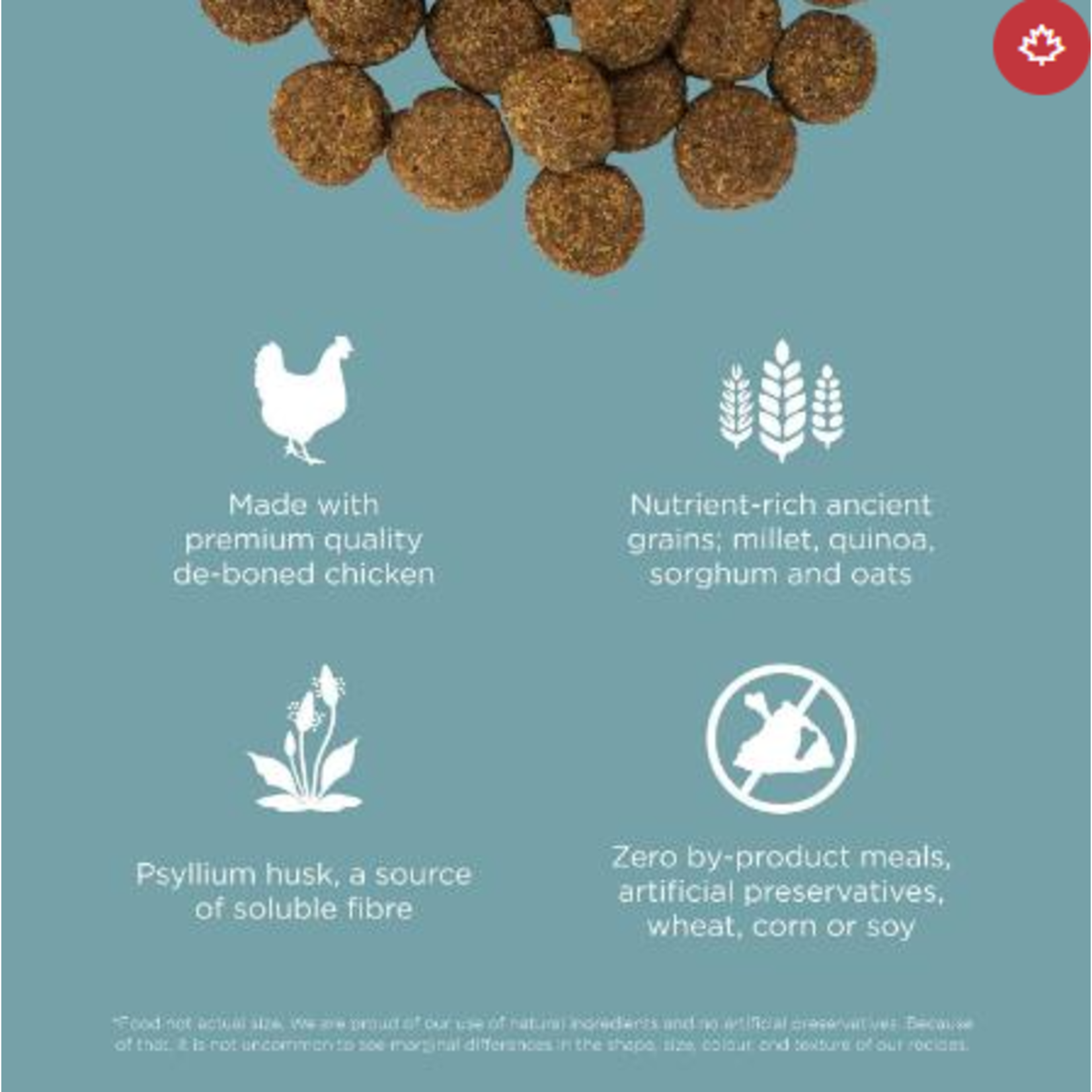go! solutions Go! Dog Digestion & Gut Health Chicken & Ancient Grains Recipe