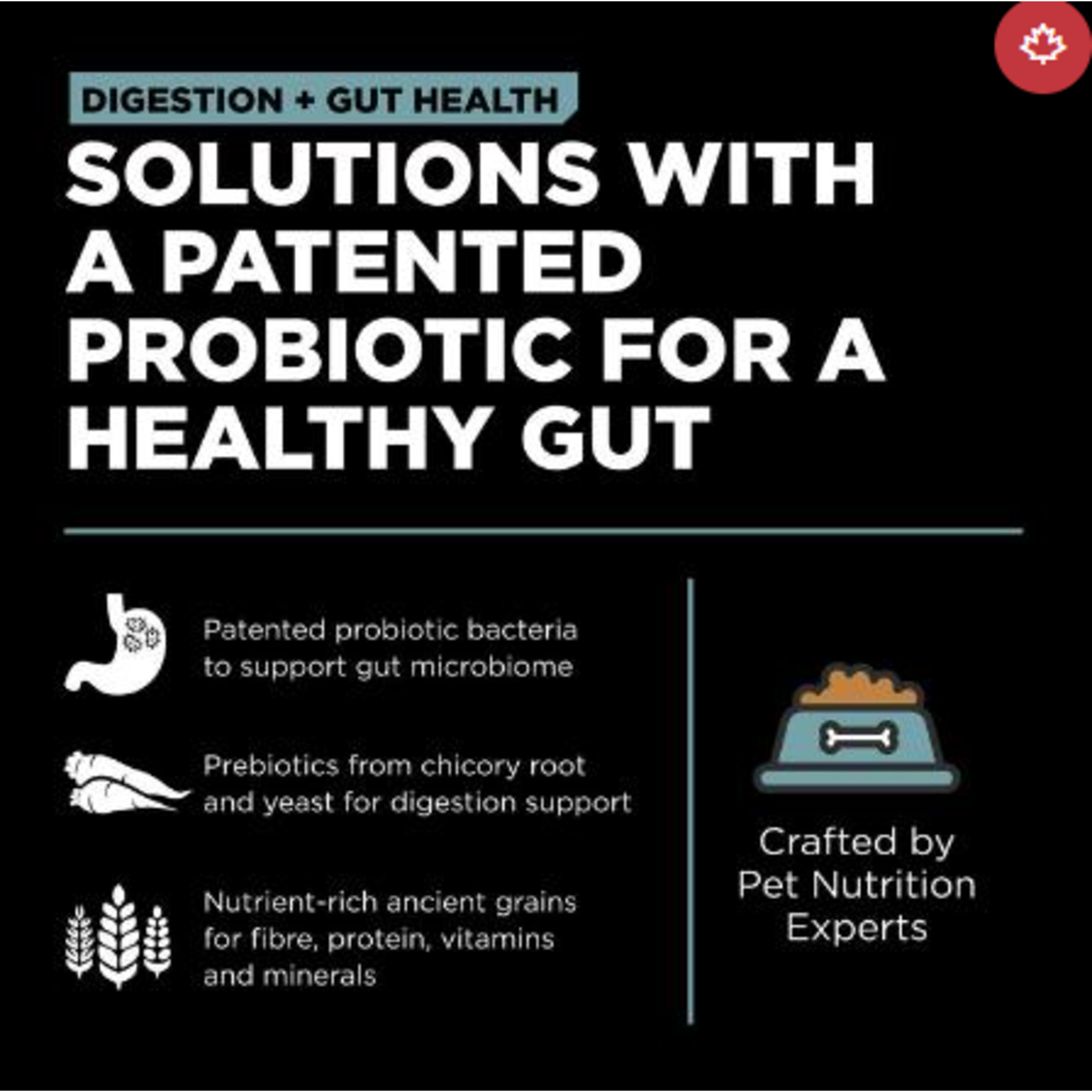 go! solutions Go! Dog Digestion & Gut Health Chicken & Ancient Grains Recipe