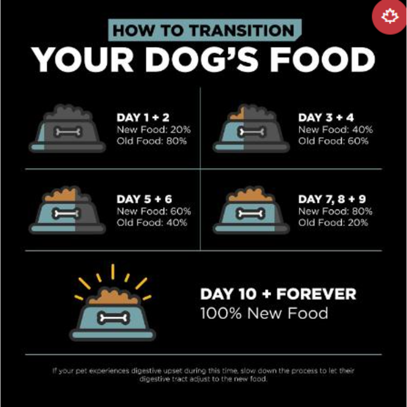 go! solutions Go! Dog Digestion & Gut Health Chicken & Ancient Grains Recipe