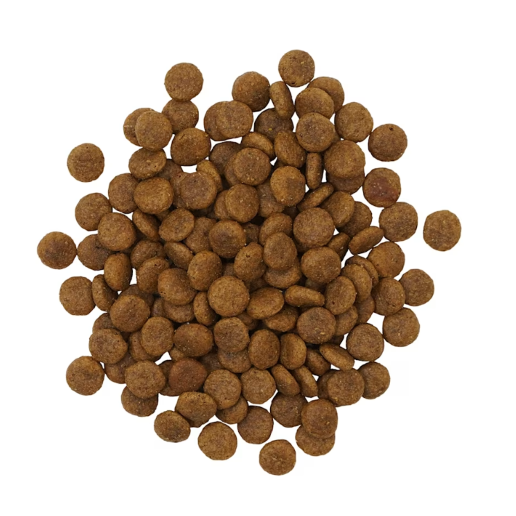 go! solutions Go! Dog Sensitivities grain free Insect recipe