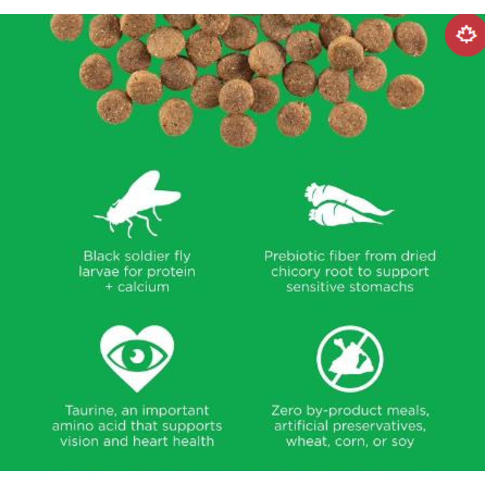 go! solutions Go! Dog Sensitivities grain free Insect recipe