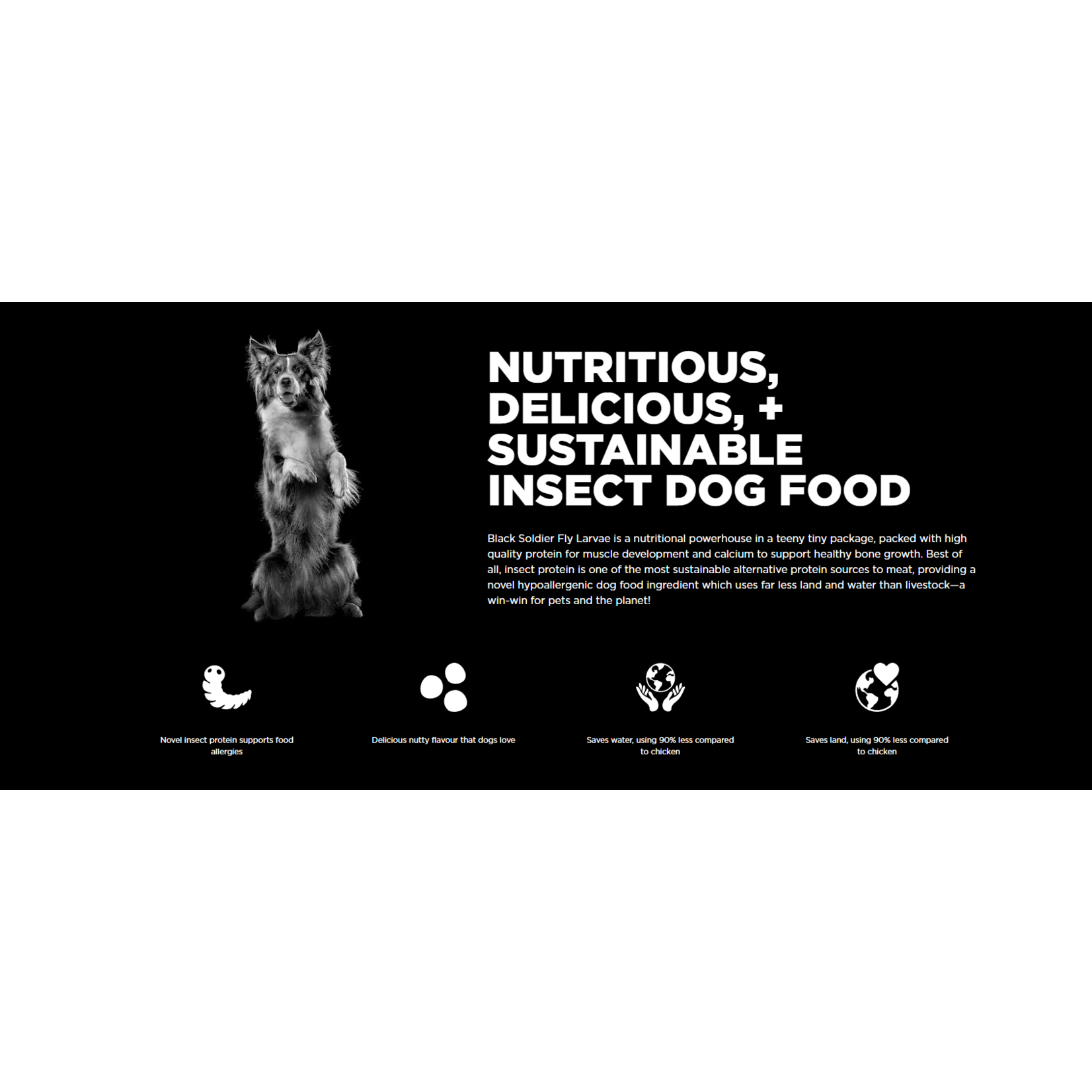 go! solutions Go! Dog Sensitivities grain free Insect recipe