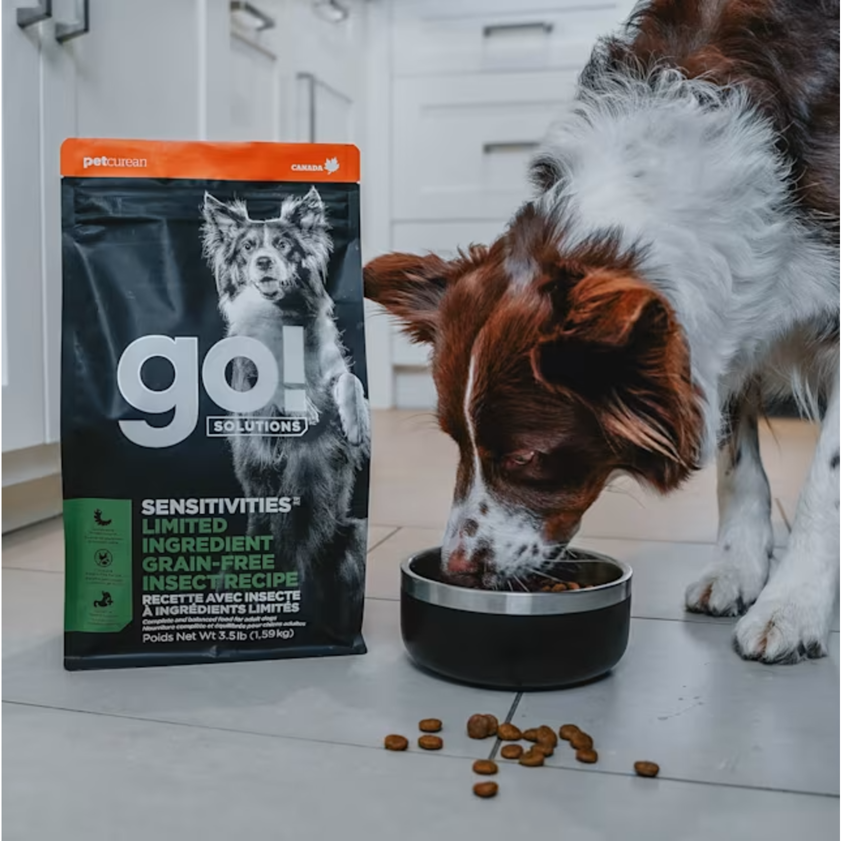 go! solutions Go! Dog Sensitivities grain free Insect recipe