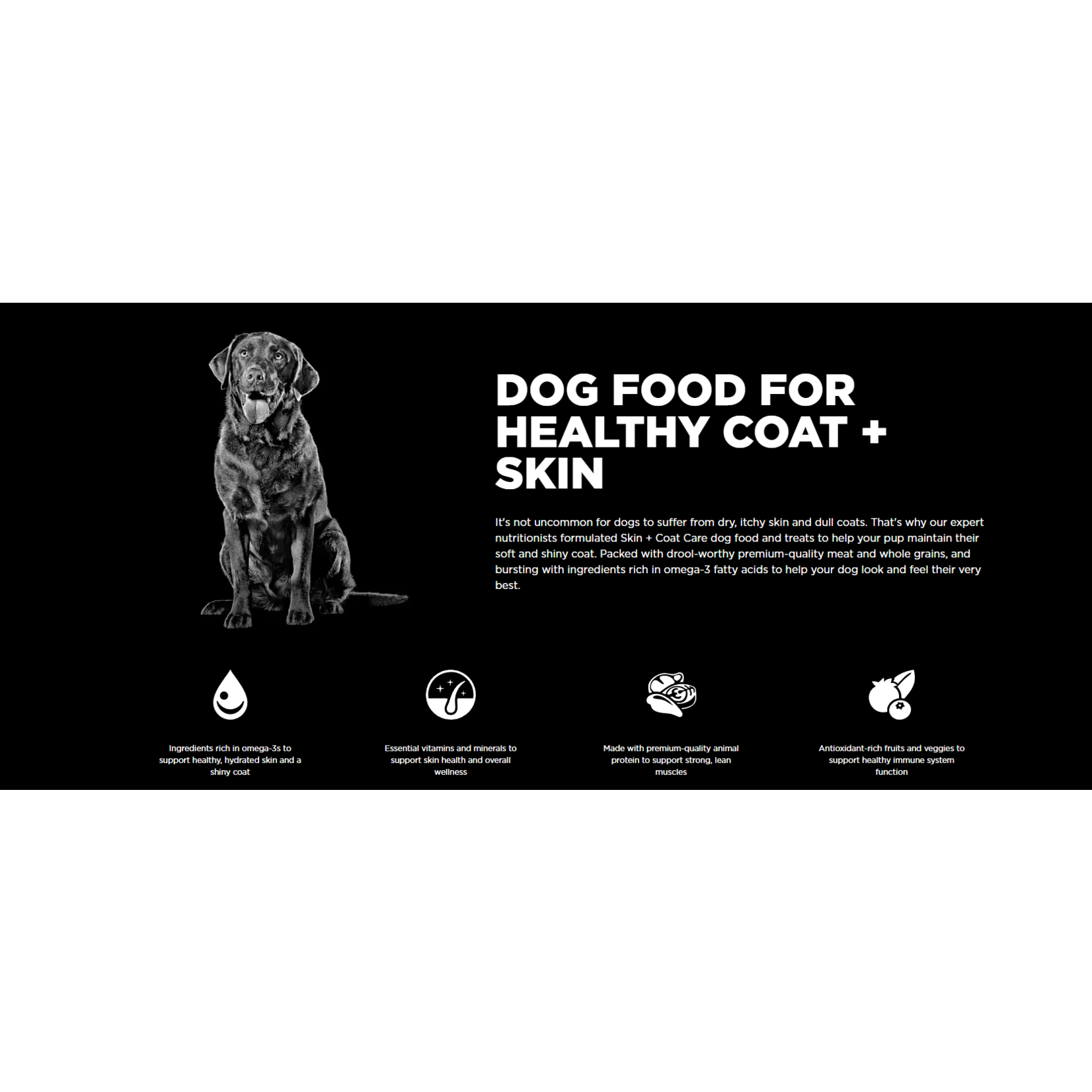 go! solutions Go! Skin & Coat Salmon with grains Large Breed Adult