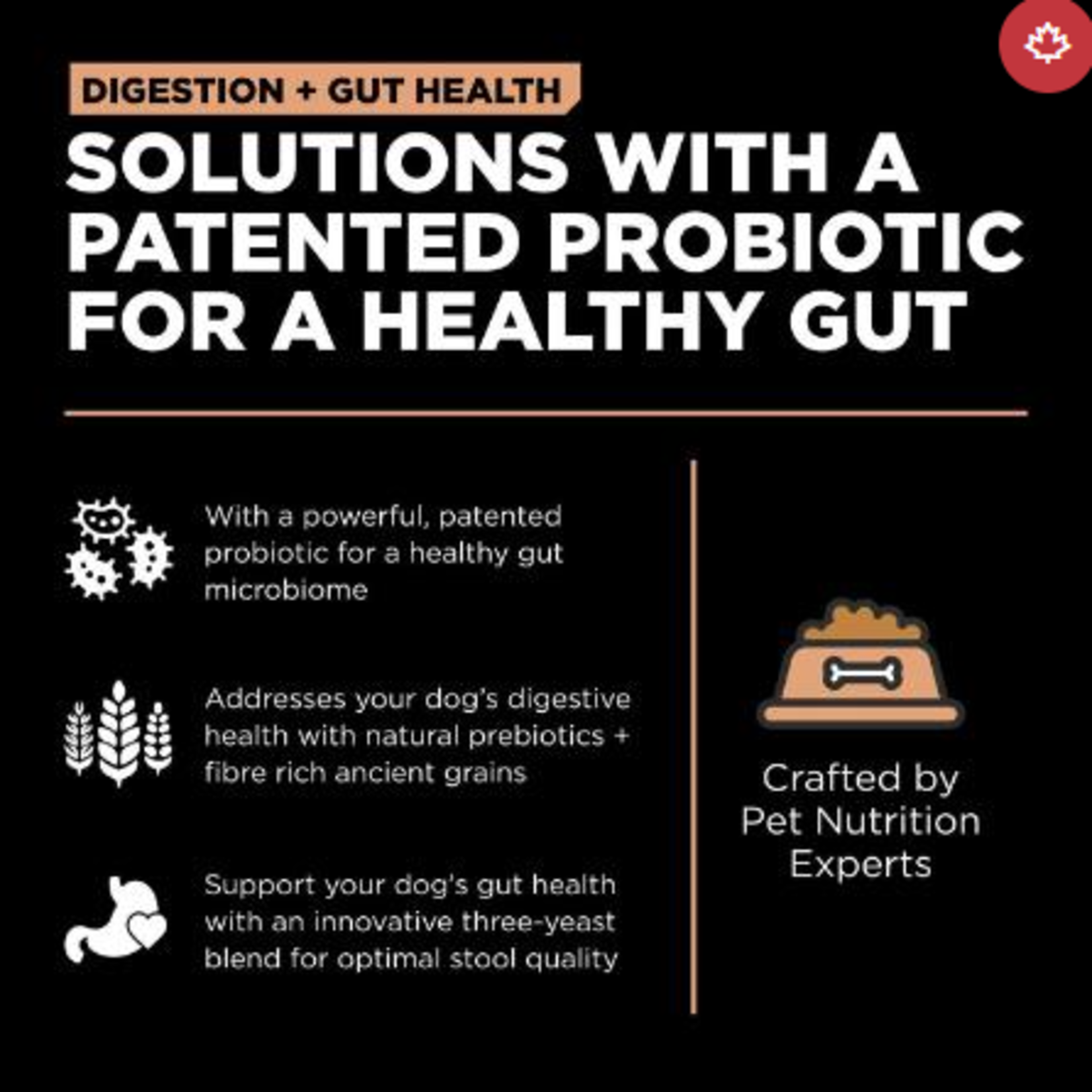 go! solutions Go! dog digestion and gut health Salmon & Ancient grains recipe