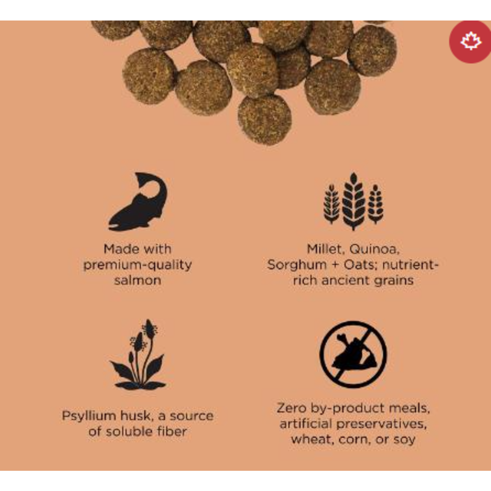 go! solutions Go! dog digestion and gut health Salmon & Ancient grains recipe