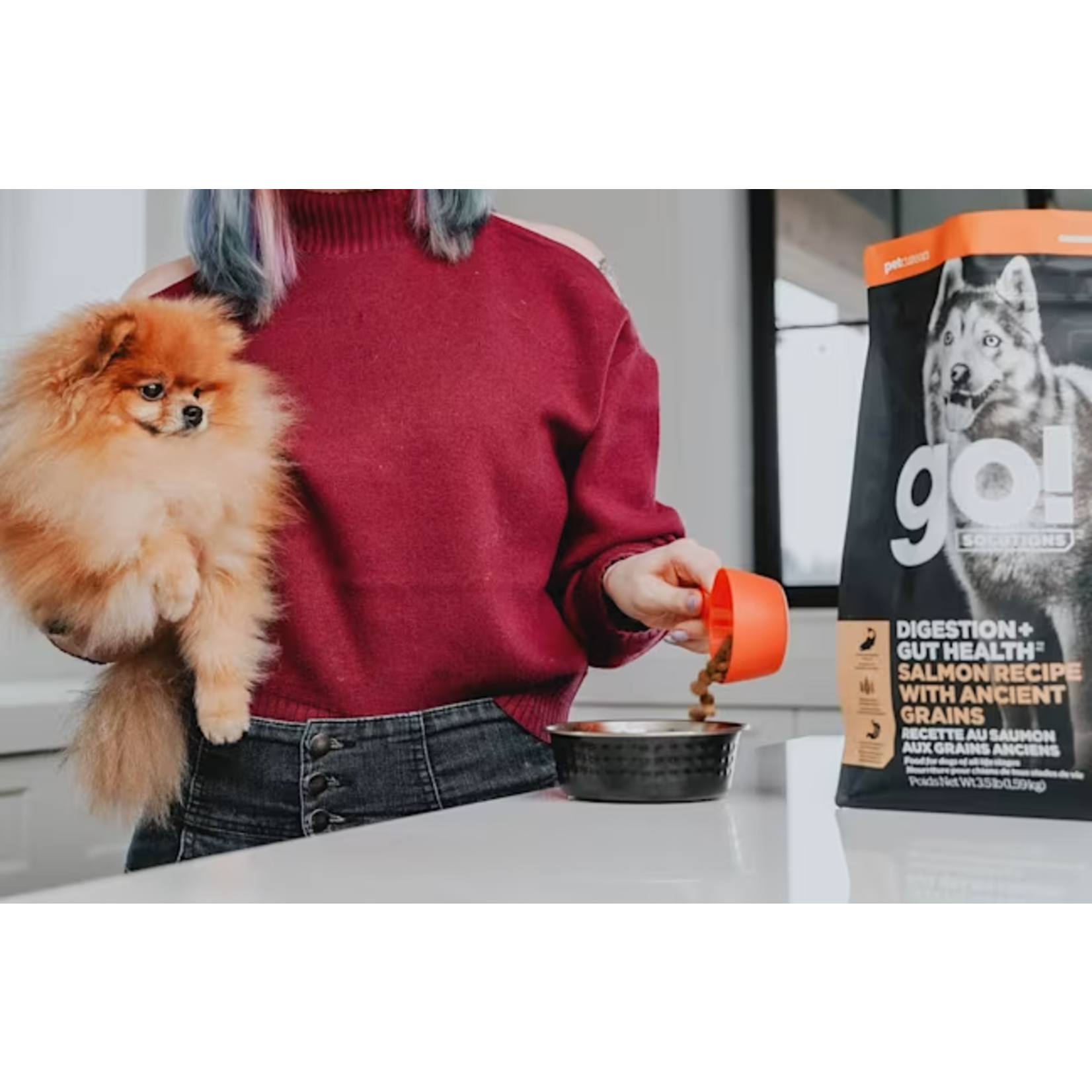 go! solutions Go! dog digestion and gut health Salmon & Ancient grains recipe