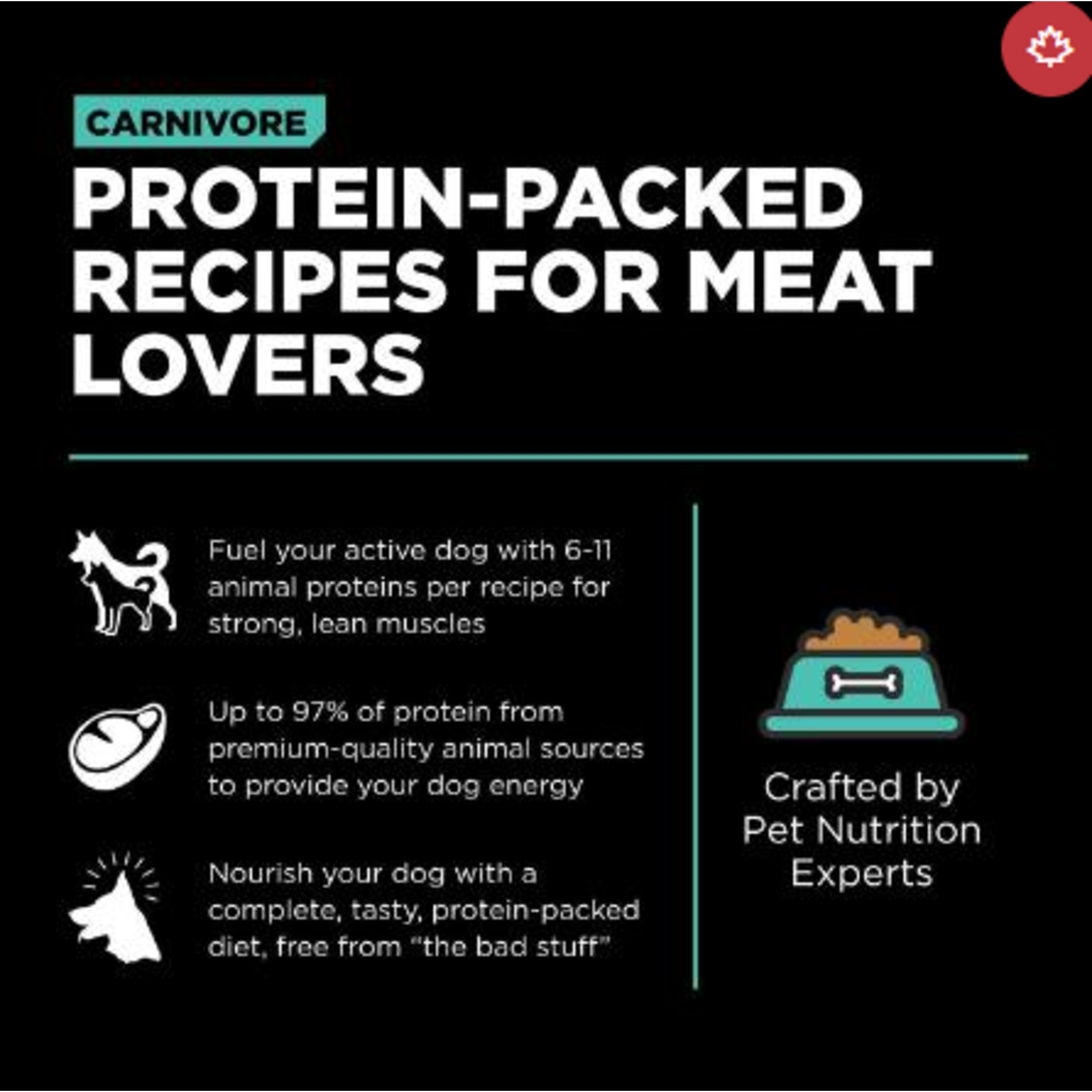 go! solutions Go! dog carnivore chicken, turkey, duck