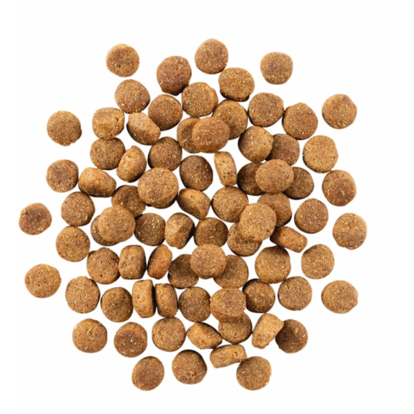 go! solutions Go! Dog  skin & coat care duck recipe with grains